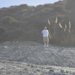 cambria_225 (November 03, 2018)